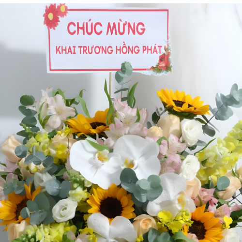 Mừng khai trương Trung tâm hợp tác Quốc tế và Viện Đào tạo và phát triển doanh nhân Việt Nam VIETD